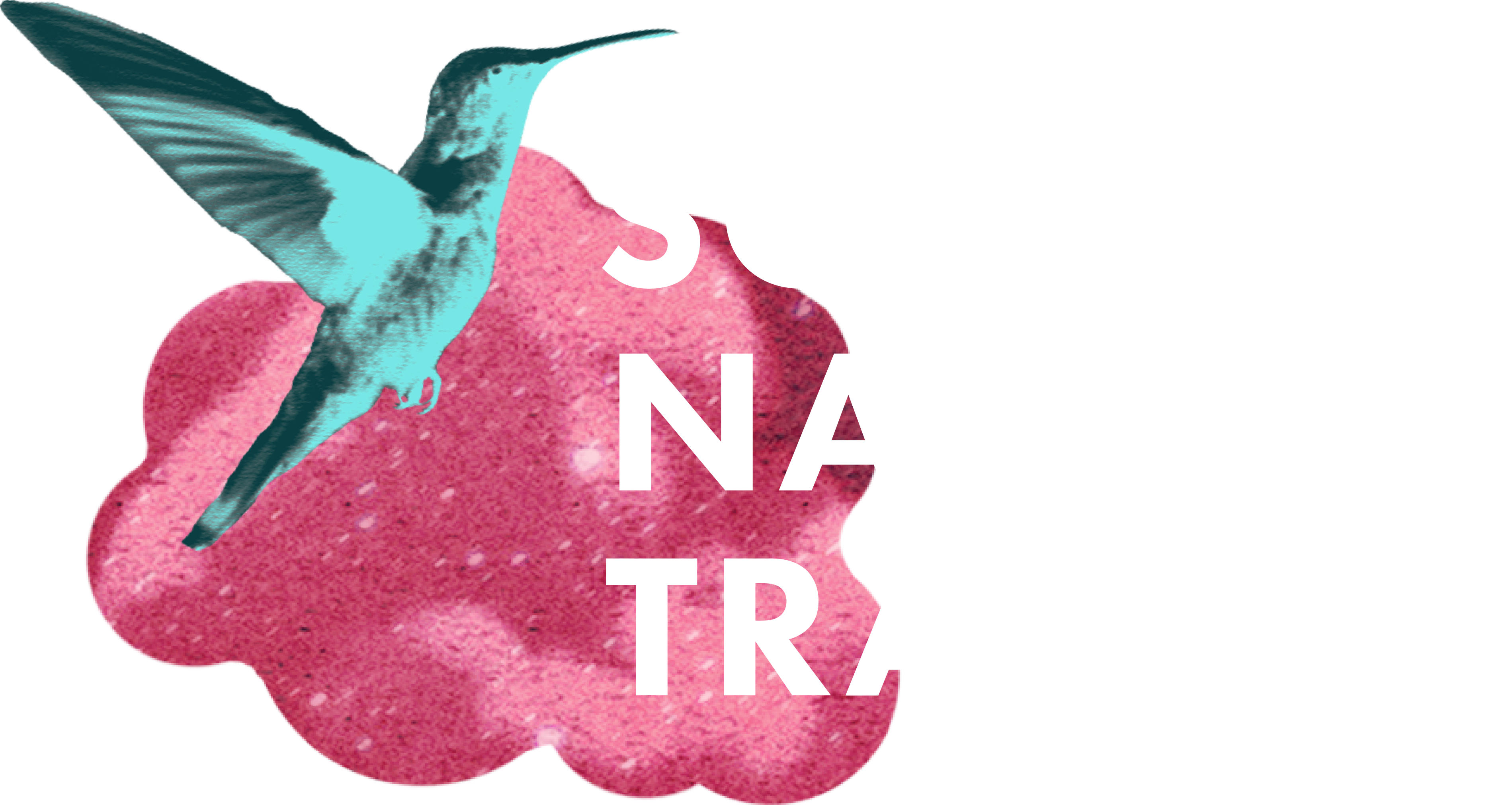 Sommernachtstraum
